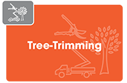 Tree Trimming